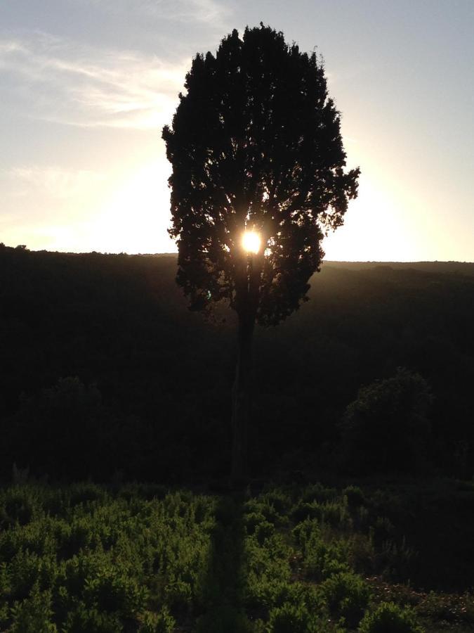 B&B Il Vecchio Molino Quercianella Dış mekan fotoğraf