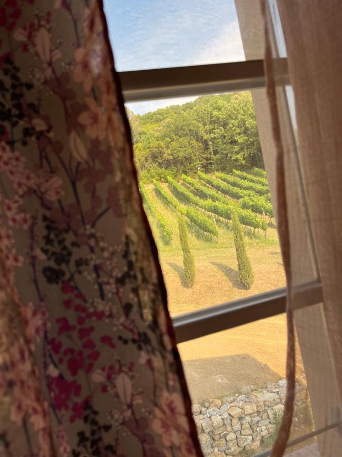 B&B Il Vecchio Molino Quercianella Dış mekan fotoğraf