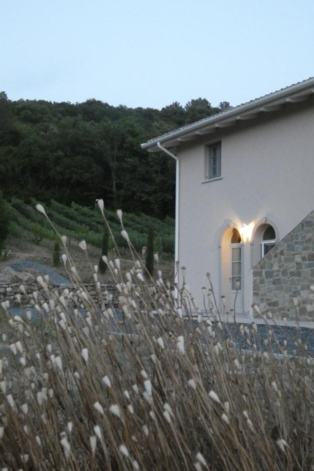 B&B Il Vecchio Molino Quercianella Dış mekan fotoğraf
